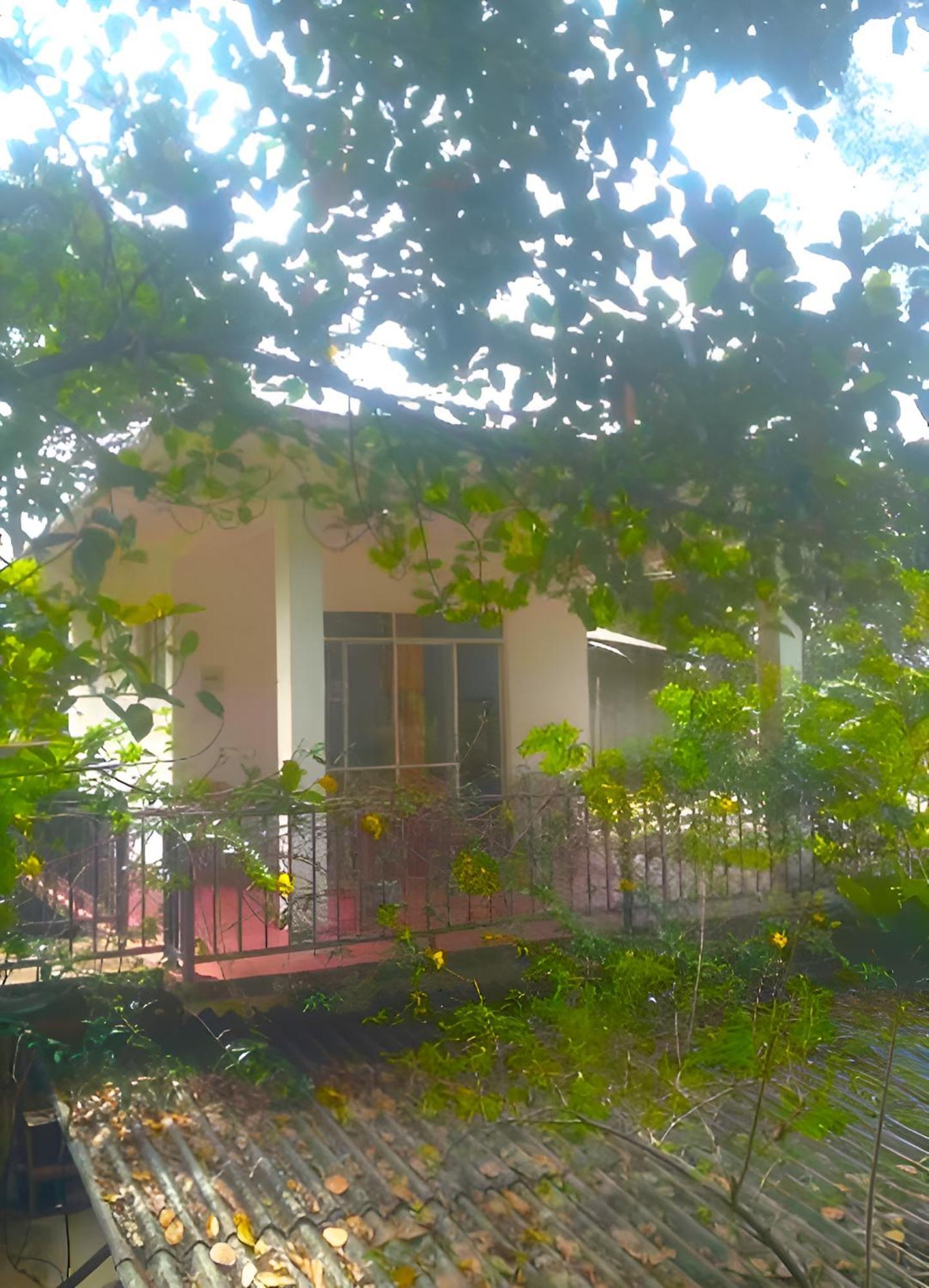 Senehas Homestay エッラ エクステリア 写真